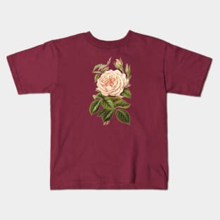 Tea Rose Flower Botanical Illustration Kids T-Shirt